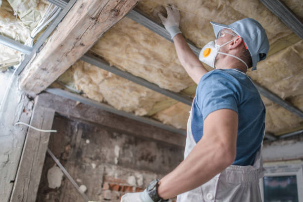Best Insulation for Specific Applications in , MS