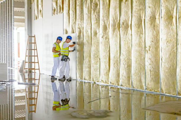Best Insulation Maintenance and Repair in , MS
